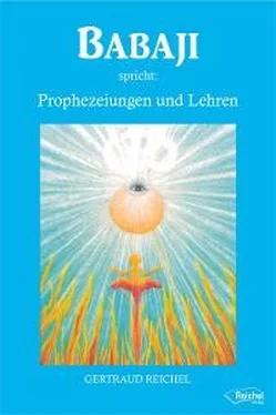 Gertraud Reichel Babaji spricht: Prophezeiungen und Lehren обложка книги