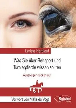 Larissa Hartkopf Was Sie über Reitsport und Turnierpferde wissen sollten обложка книги