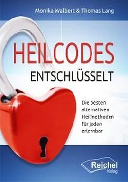 Thomas Lang Heilcodes entschlüsselt обложка книги
