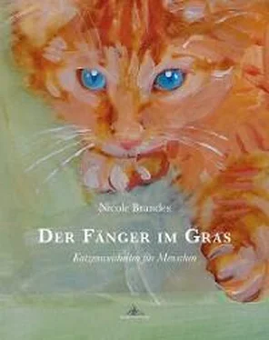 Nicole Brandes Der Fänger im Gras обложка книги