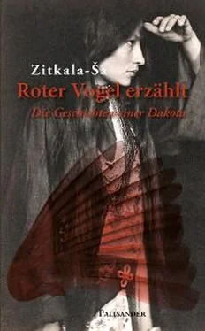 Gertrude Bonnin (Zitkala-Sa) Roter Vogel erzählt обложка книги