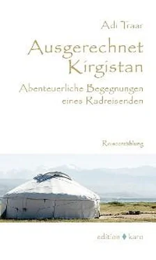 Adi Traar Ausgerechnet Kirgistan обложка книги
