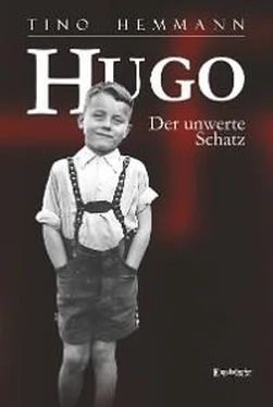 Tino Hemmann Hugo. Der unwerte Schatz обложка книги