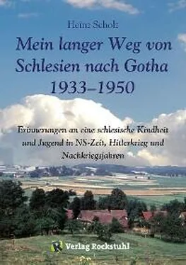 Heinz Scholz Mein langer Weg von Schlesien nach Gotha 1933–1950 обложка книги