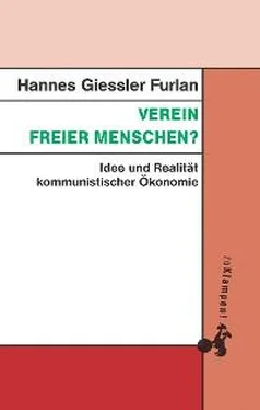 Hannes Giessler Furlan Verein freier Menschen? обложка книги