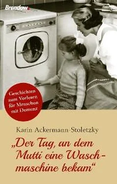 Karin Ackermann-Stoletzky Der Tag, an dem Mutti eine Waschmaschine bekam обложка книги