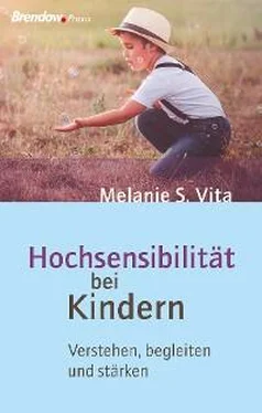 Melanie S. Vita Hochsensibilität bei Kindern обложка книги