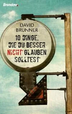 David Brunner Zehn Dinge, die du besser nicht glauben solltest обложка книги