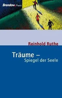 Reinhold Ruthe Träume - Spiegel der Seele обложка книги