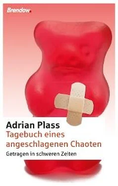 Adrian Plass Tagebuch eines angeschlagenen Chaoten обложка книги