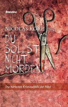 Nicolas Koch Du sollst nicht morden обложка книги