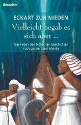 Eckart zur Nieden - Vielleicht begab es sich aber ...