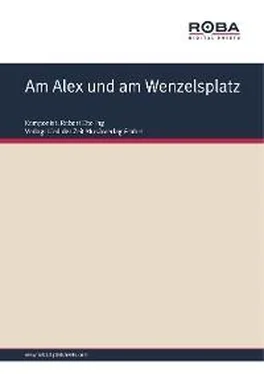 H. Steltzer Am Alex und am Wenzelsplatz обложка книги