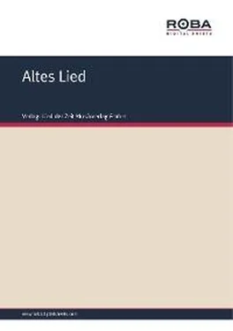 Volksweise Altes Lied обложка книги