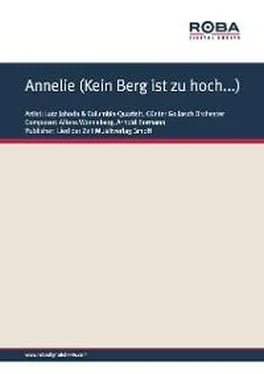 Arnold Bormann Annelie (Kein Berg ist zu hoch...) обложка книги