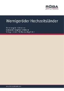 Siegfried Bethmann Wernigeröder Hochzeitsländer обложка книги