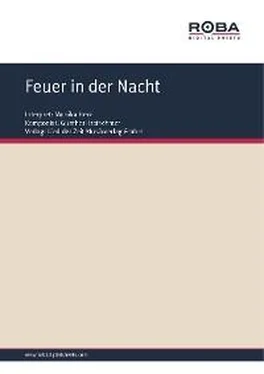 Dieter Schneider Feuer in der Nacht обложка книги