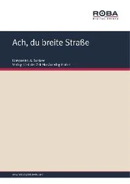 A. Surkow Ach, du breite Straße обложка книги