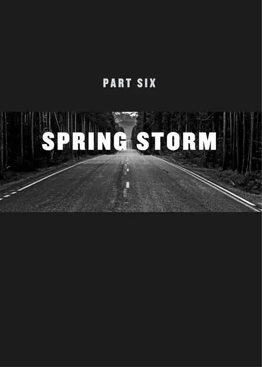 24 Light rain was changing to snow when Joe reached his home on Bighorn Road - фото 8