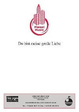 Will Meisel Du bist meine große Liebe обложка книги