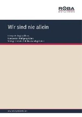 Dieter Schneider Wir sind nie allein обложка книги