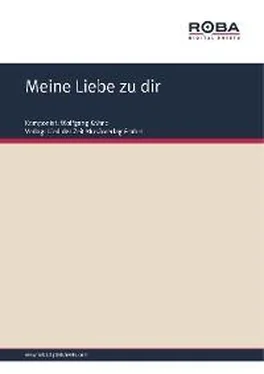 Dieter Schneider Meine Liebe zu dir обложка книги