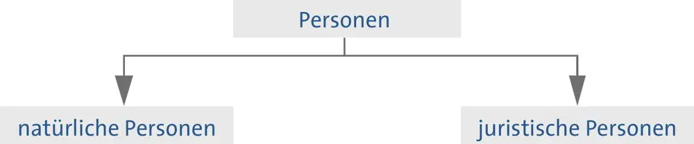 211 Natürliche Personen Natürliche Person ist der Menschsolange er lebt - фото 7