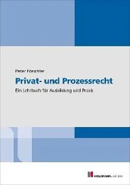 Peter Förschler Privat- und Prozessrecht обложка книги