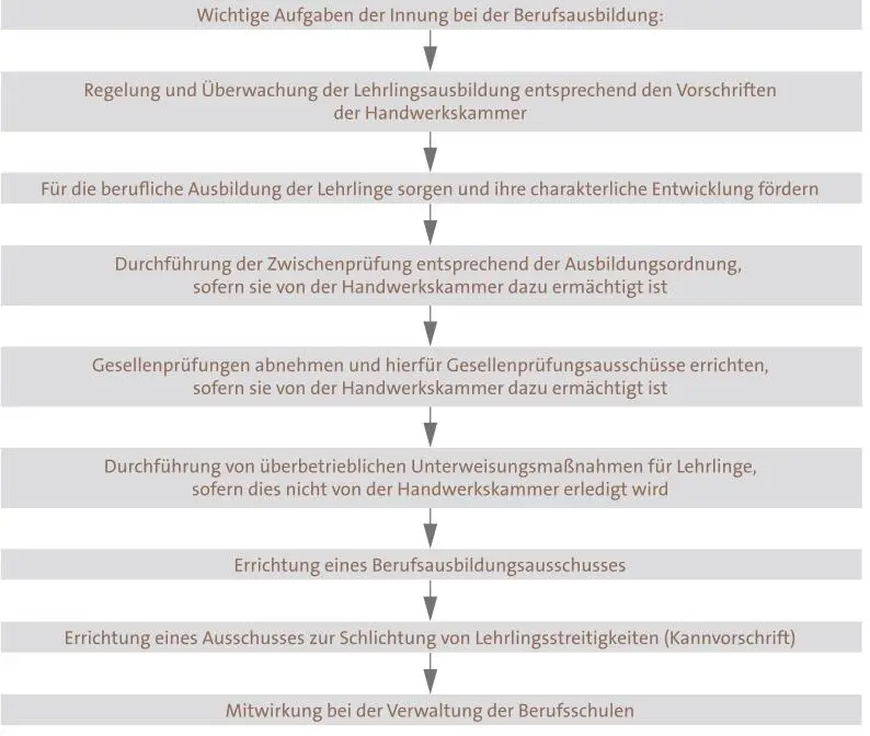 Lehrlingswart Eine Schlüsselrolle in der Berufsausbildungsarbeit der Innung - фото 23
