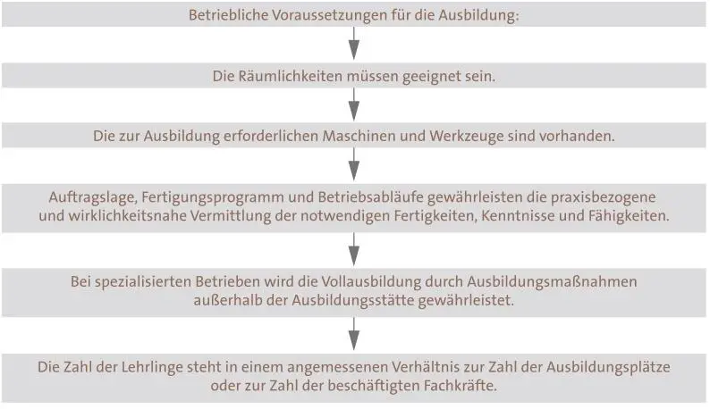 Als angemessenes Verhältnis der Zahl der Auszubildenden zur Zahl der Fachkräfte - фото 20