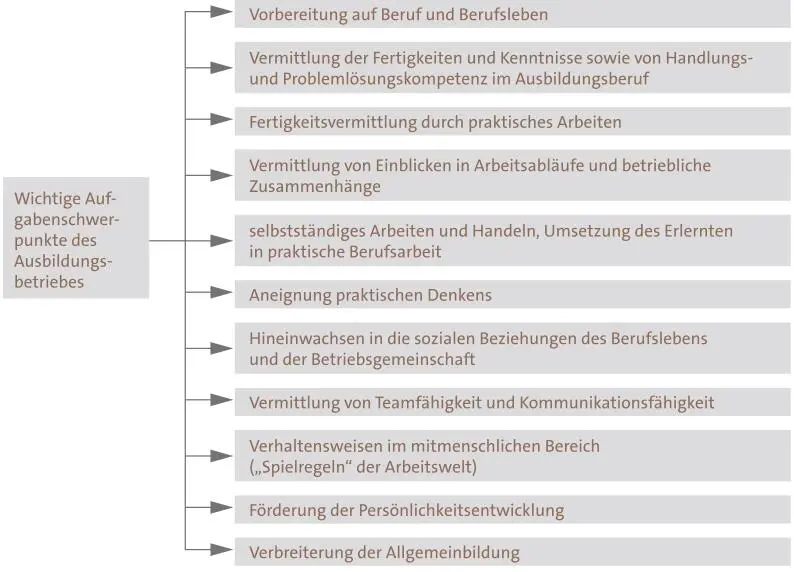 Die betriebsgebundene Ausbildung erfolgt schwerpunktmäßig durch Lernen am - фото 12