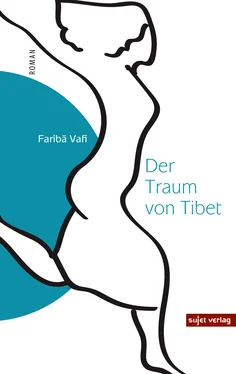 Fariba Vafi Der Traum von Tibet обложка книги