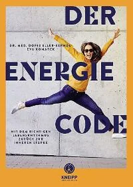 Doris Eller-Berndl Der Energie-Code обложка книги