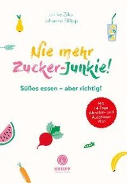 Ulrike Zika Nie mehr Zucker-Junkie! обложка книги