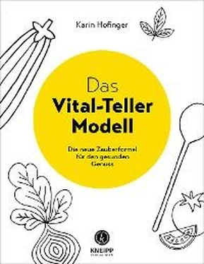 Karin Höfinger Das Vital-Teller-Modell обложка книги