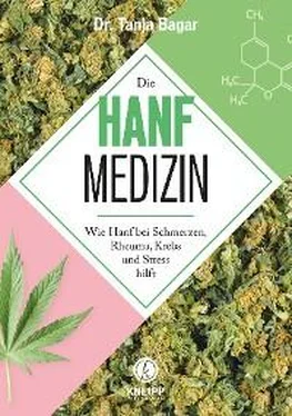 Tanja Bagar Die Hanf-Medizin обложка книги