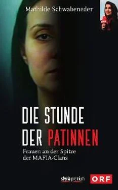 Mathilde Schwabeneder-Hain Die Stunde der Patinnen обложка книги