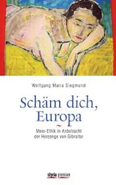 Wolfgang Maria Siegmund Schäm dich, Europa! обложка книги