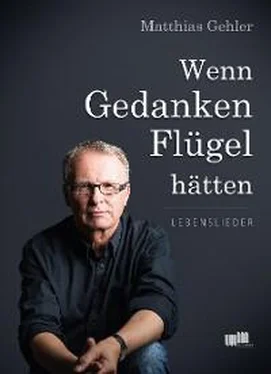 Matthias Gehler Wenn Gedanken Flügel hätten обложка книги