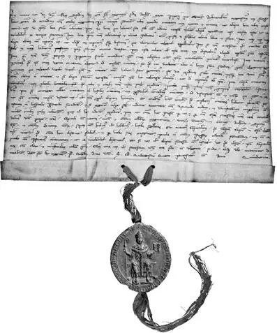 Abb 7 Die Urkunde Erzbischof Siegfrieds III für Mainz von 1244 - фото 11