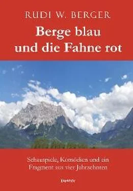 Rudi W. Berger Berge blau und die Fahne rot обложка книги