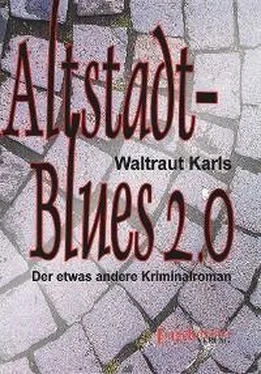 Waltraut Karls Altstadt-Blues 2.0 обложка книги