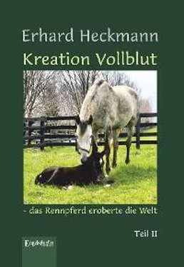 Erhard Heckmann Kreation Vollblut – das Rennpferd eroberte die Welt обложка книги