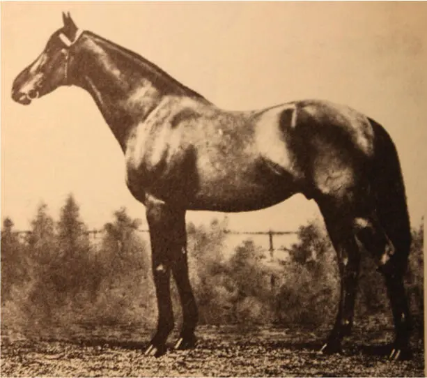 Der ungeschlagene St Simon Foto Courtesy of Keeneland Library Ein bis zwei - фото 17
