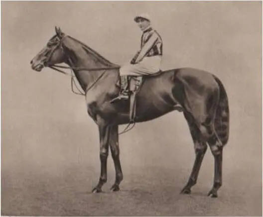 S B Joels Pommern Steve Donoghue feierte seine Triple Crown wegen des I - фото 26