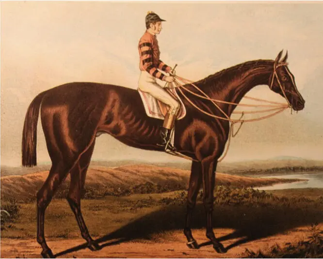 R A Alexander kaufte den BostonSohn Lexington 1850 von Ten Broeck für - фото 7