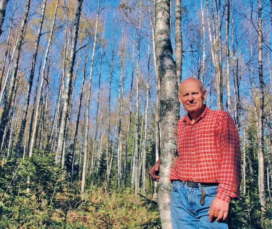 Лес Арне Фьеля вырос на заброшенных полях Он постоянно прореживал деревья - фото 13