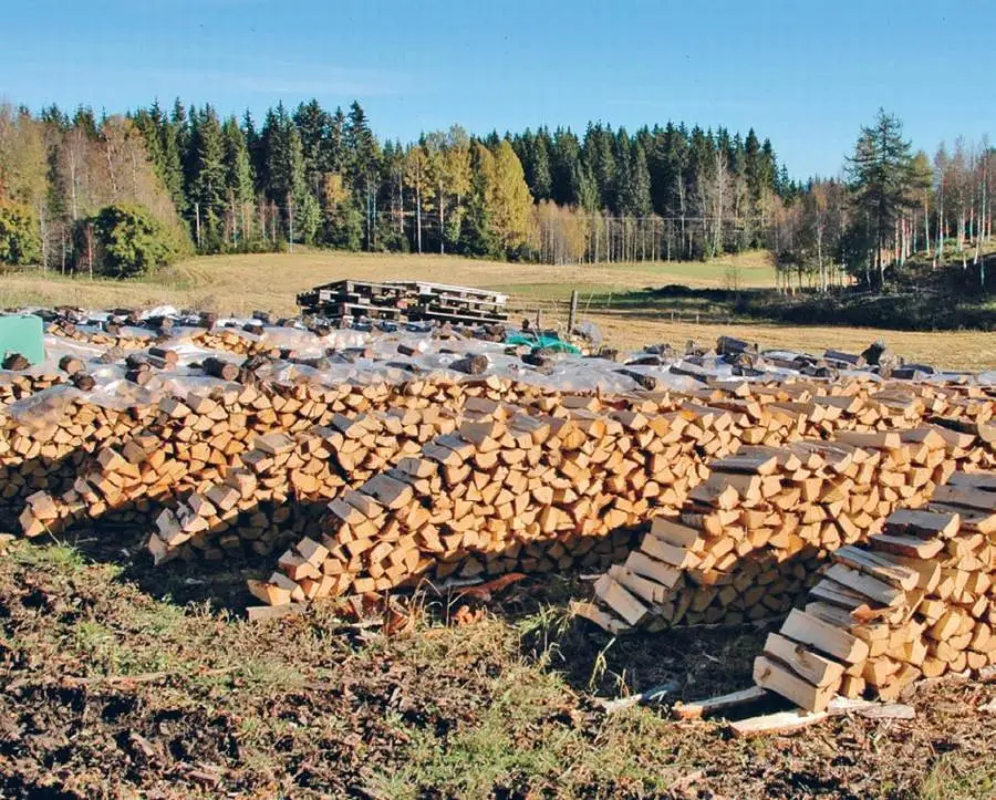 Арне заготавливает дрова возле фермы и предпочитает хорошо проветриваемые - фото 14