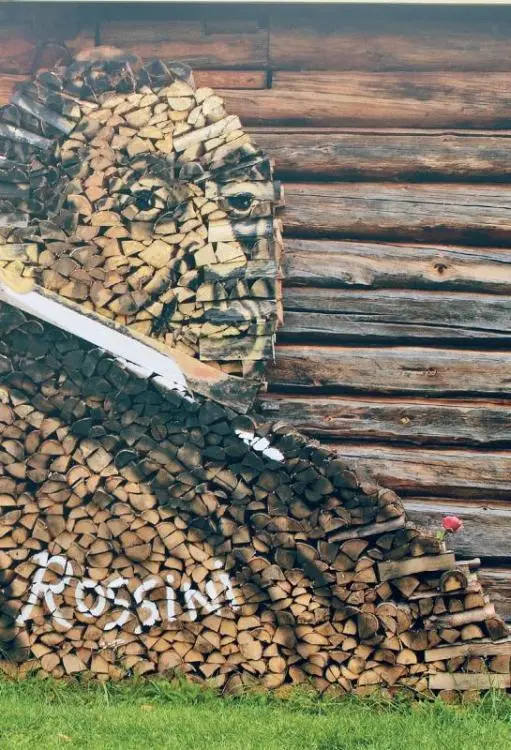 Из поленьев различного типа Зофия и Оле Кристиан Шеллинг из Въеронаса в - фото 51
