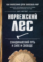 Ларс Миттинг - Норвежский лес - скандинавский путь к силе и свободе